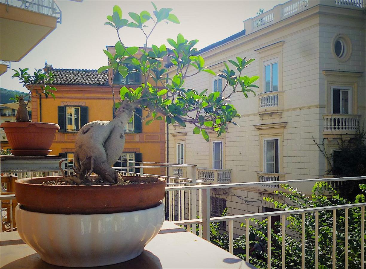 Angelina Suite B&B - Sorrento Centro 외부 사진