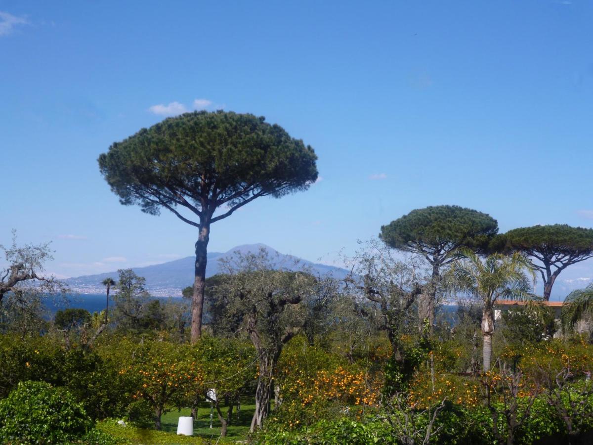 Angelina Suite B&B - Sorrento Centro 외부 사진